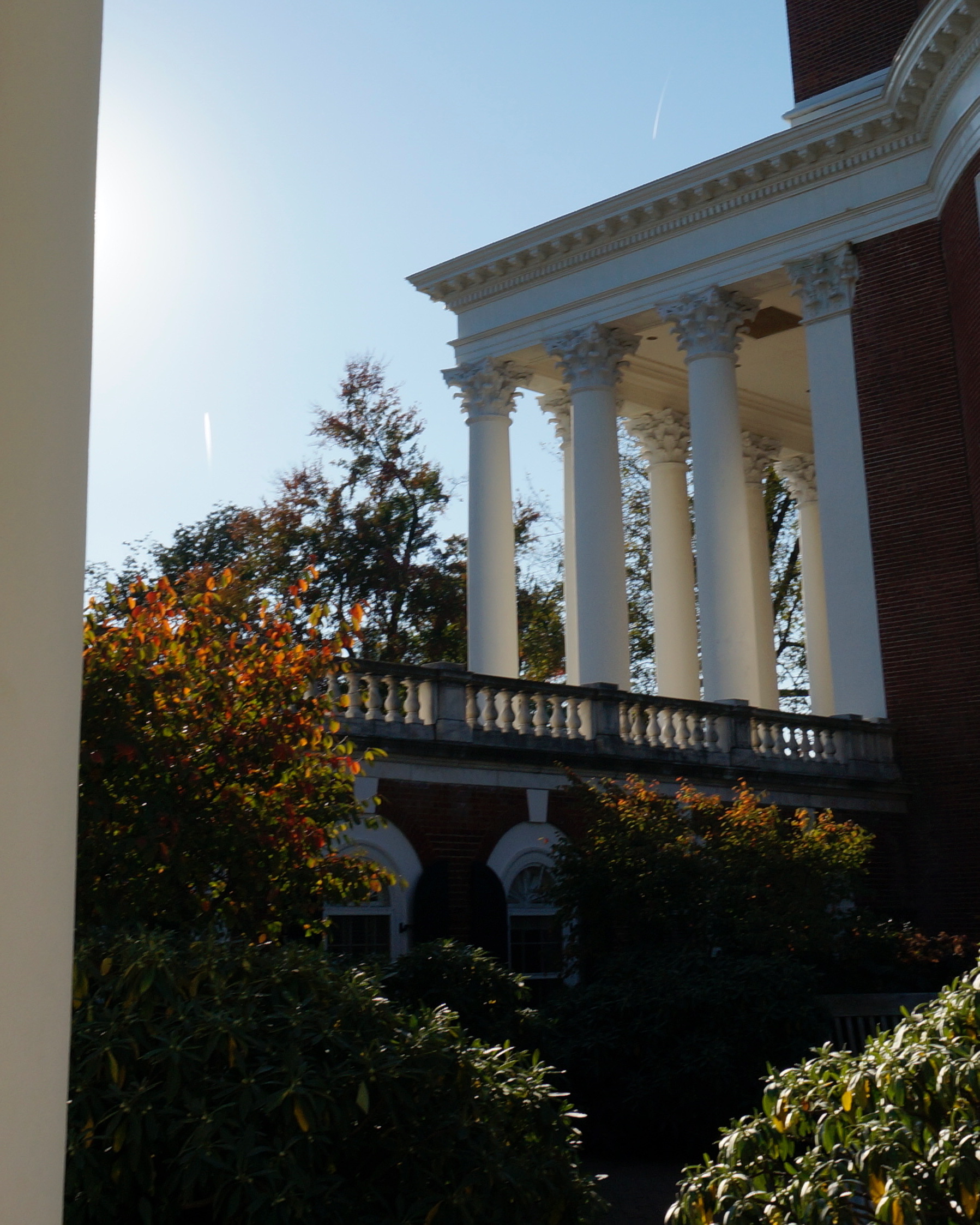 Columns at the Academical Village