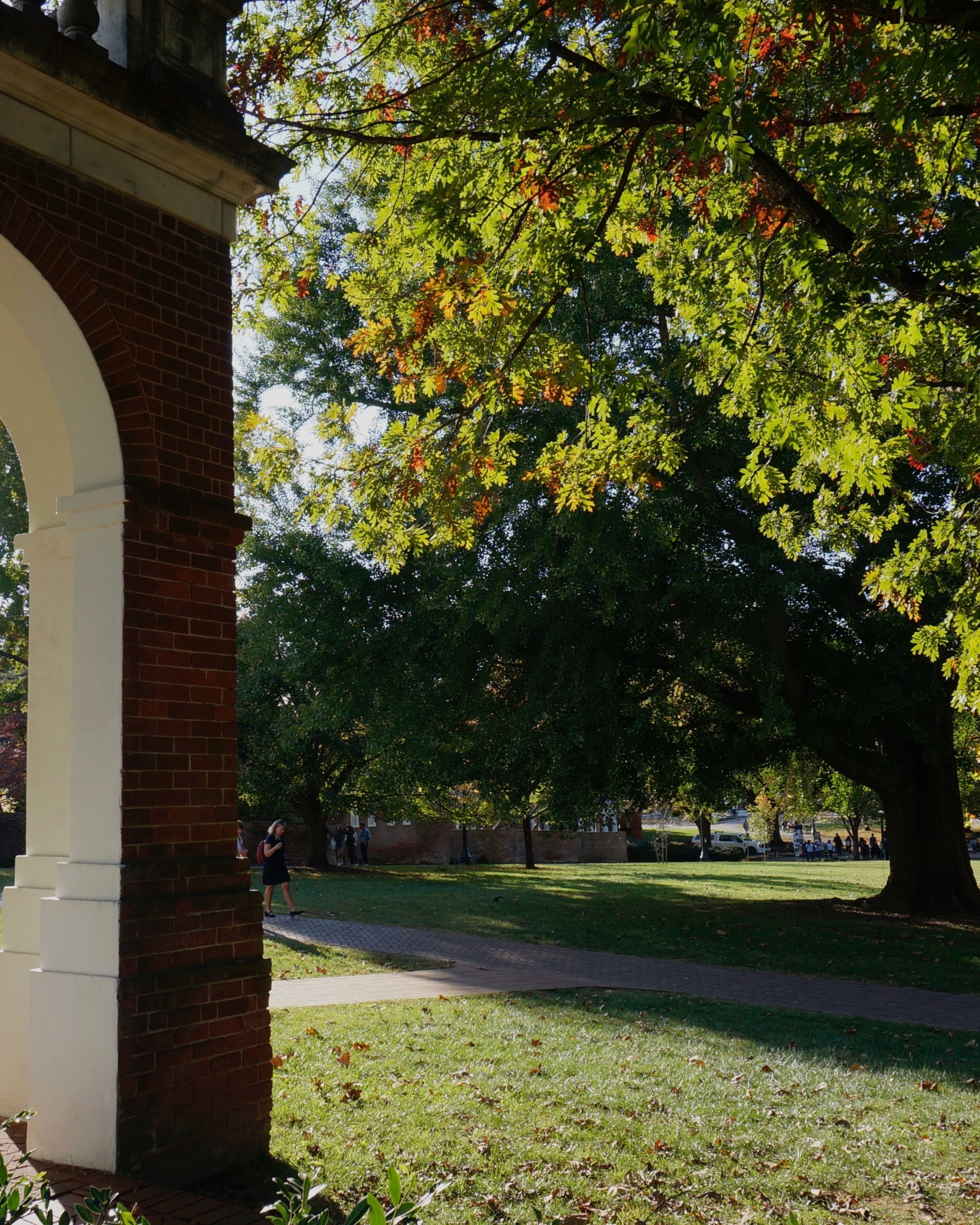 Image of a tree and an arch made of brick